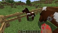 Foal's growth can be catalyzed by feeding it food items in Minecraft (Image via Mojang)